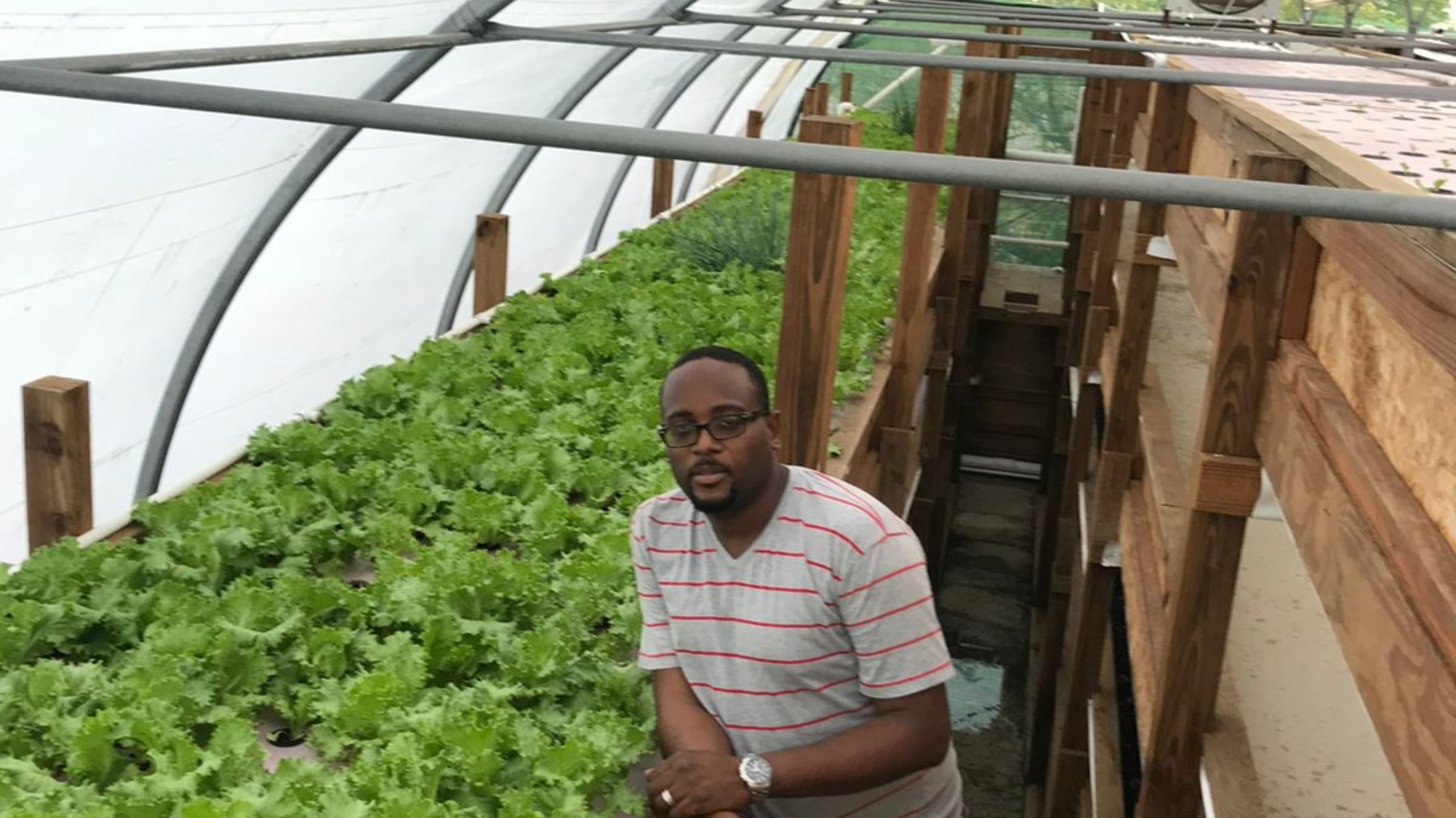 Green Haven Fresh Farm Founder Jameson Alphonse